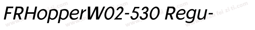 FRHopperW02-530 Regu字体转换